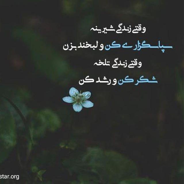 چله شکرگزاری ،قانون جذب،انگیزشی