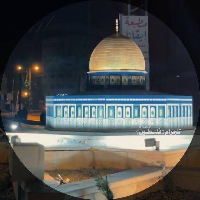 سَباع اليل𓂆