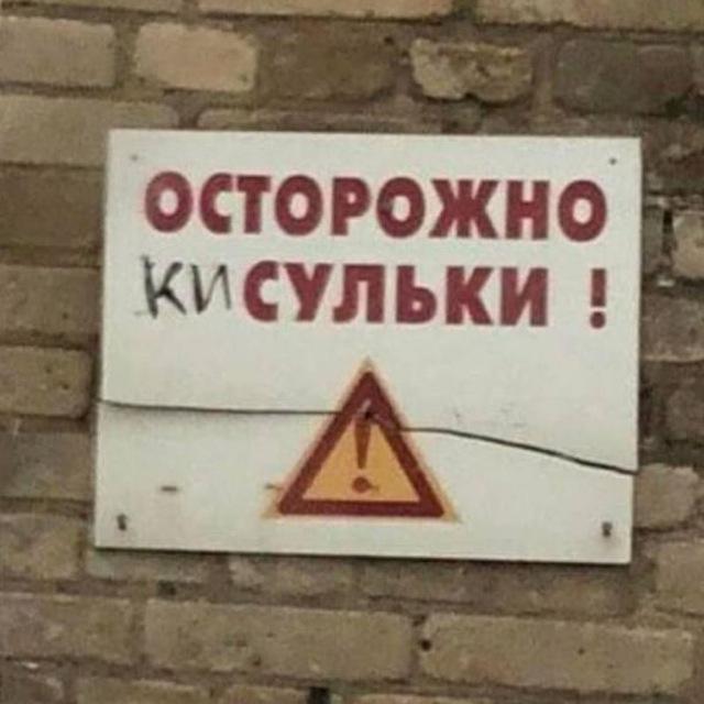 Моя маленькая киска