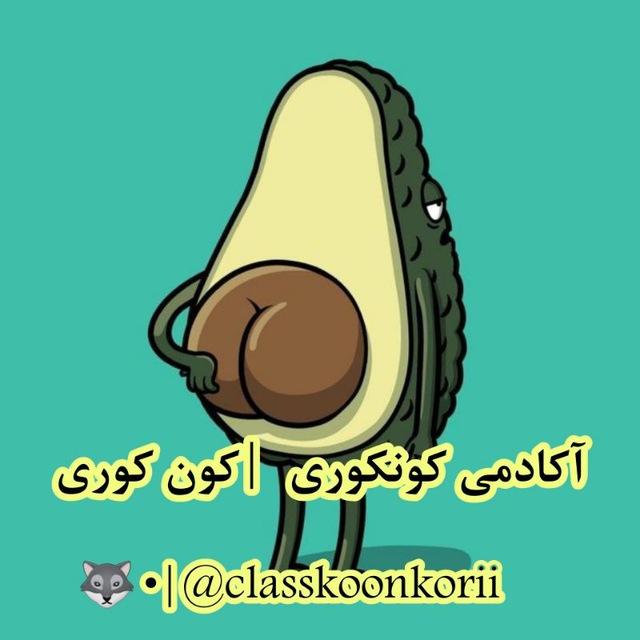 آکادمی کنکوری | کنکور 1405