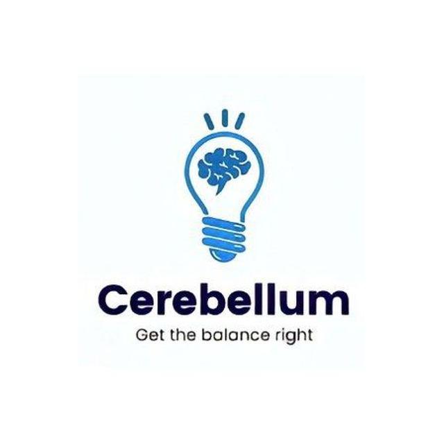 Cerebellum Academy Notes