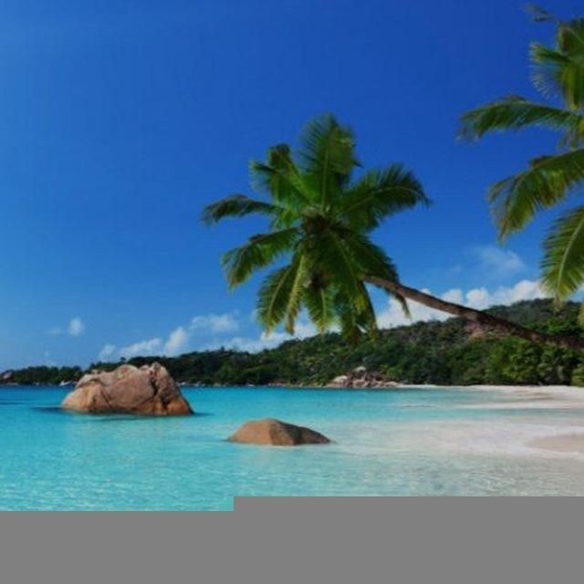 Котик ЮлаТур🏝️