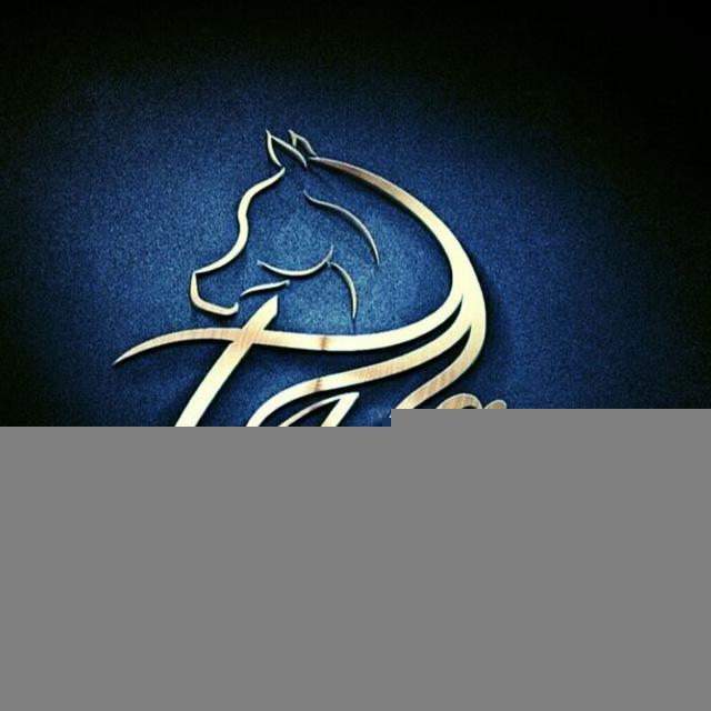 🐎خرید و فروش اسب عرب مصری🐎