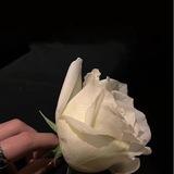 𝓣𝓱𝓸𝓾𝓰𝓱𝓽🥀