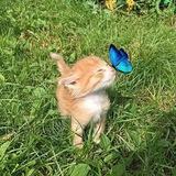 𝙒𝙝𝙞𝙨𝙥𝙚𝙧 🦋