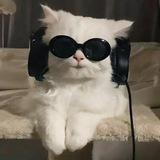 Музыкальные смешнявки