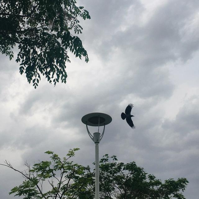 KAPALI KUTUM 🗝