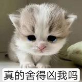 qq小屋