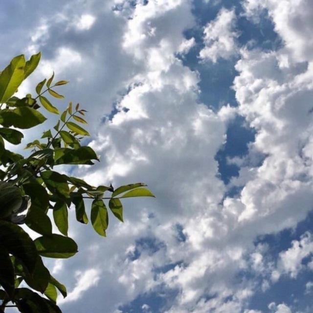 ستُجبَر🦋.
