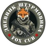 Дневник штурмовика