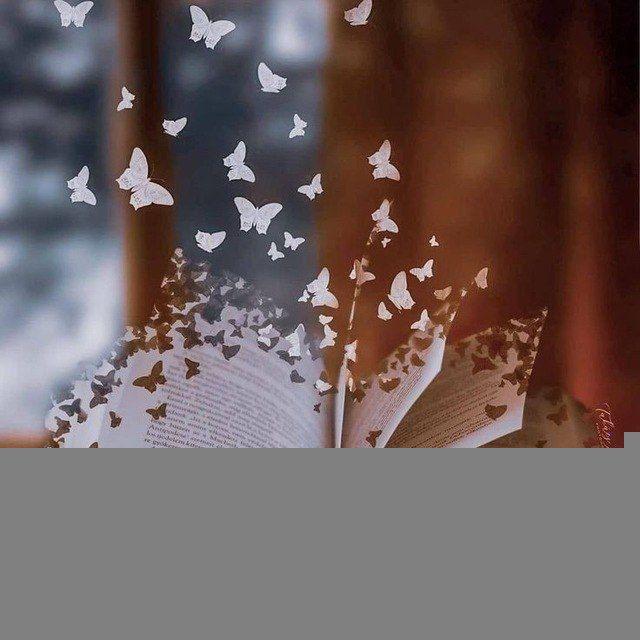 مملكة الروايات والكتب 📚