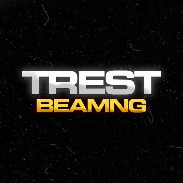 Чат trest.beamng