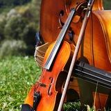 Ноты для специальности по 🎻