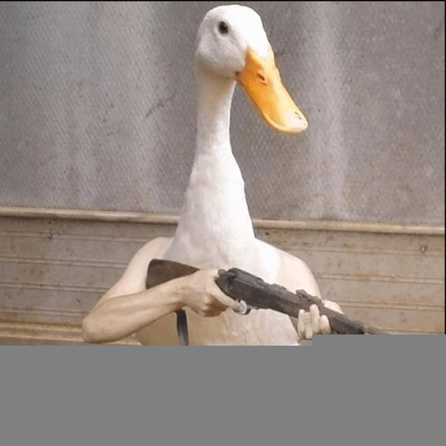 DUCK VPN