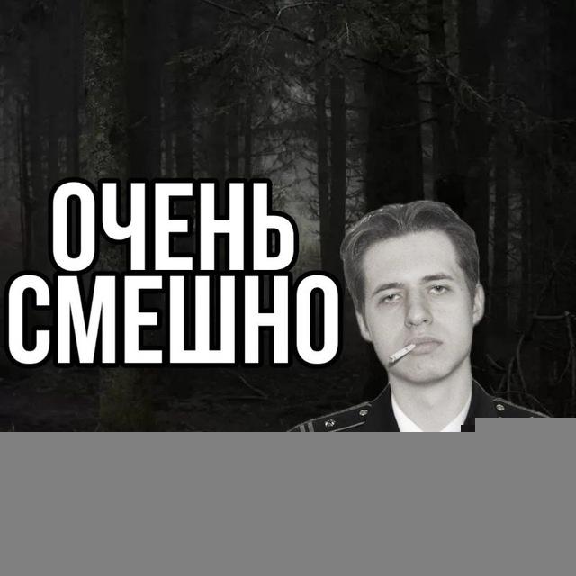 BigViluris