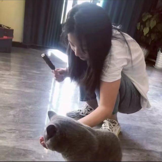 悯悯的小木屋