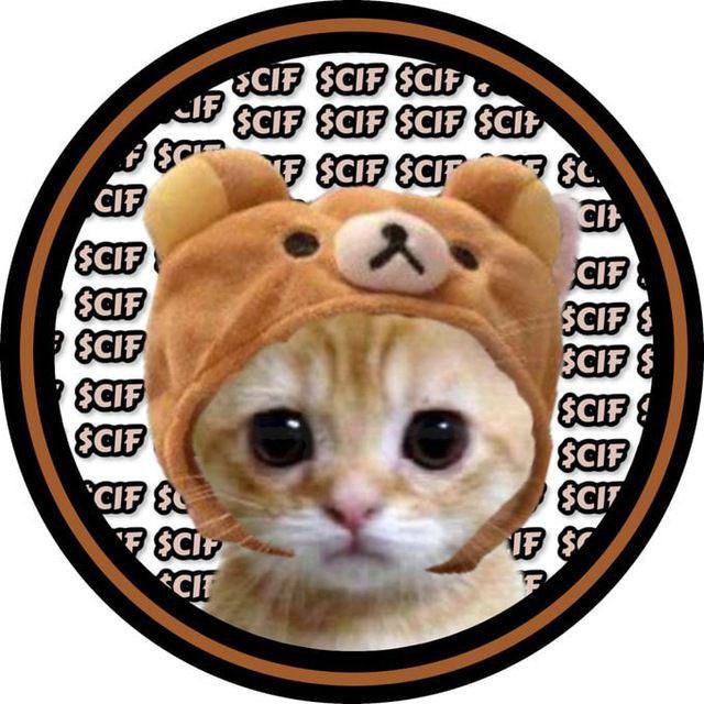 OGcatwifhat