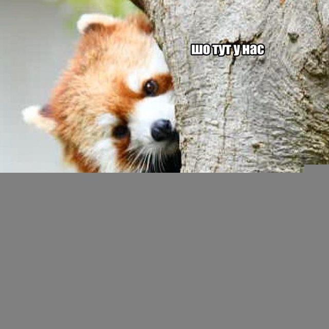 pandæmonium