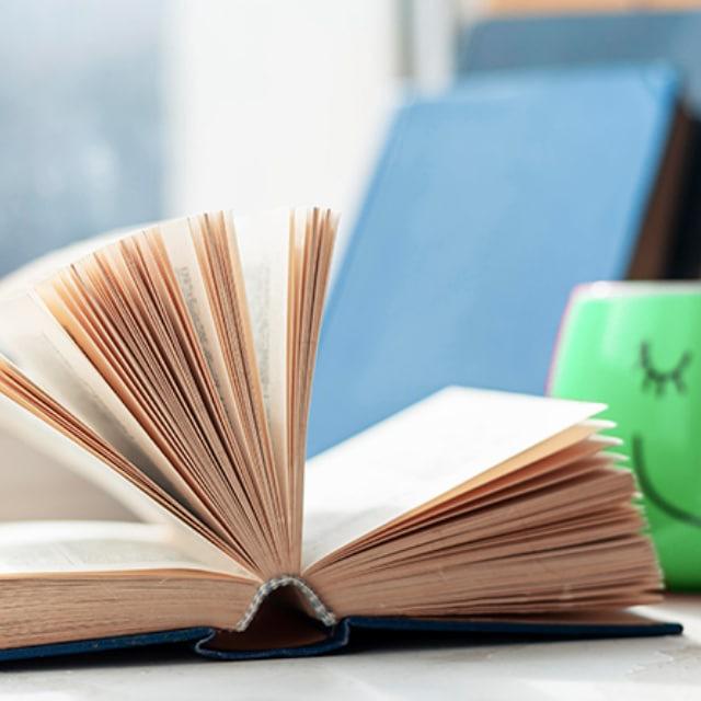 TUDO EM PDF LIVROS
