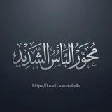 محور البأس الشديد - انصارالله شهيد القرآن