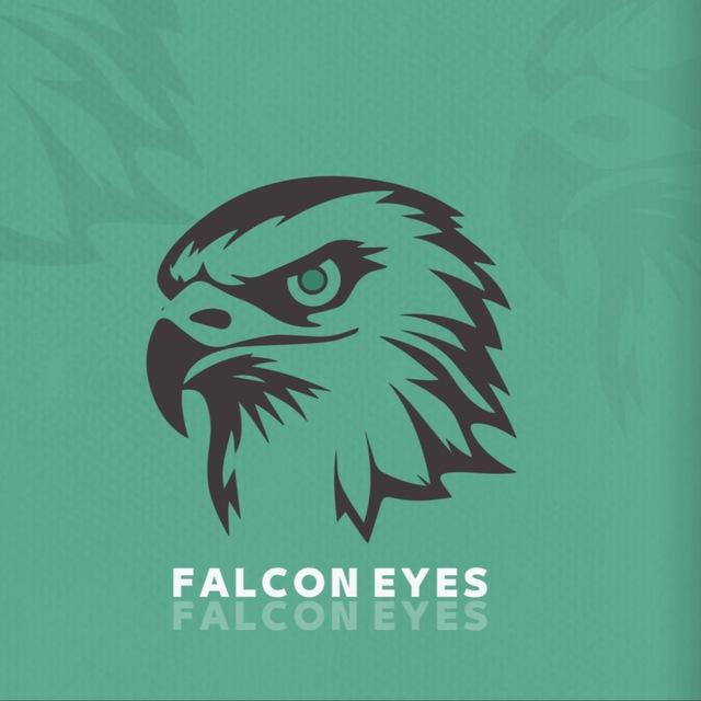 FALCON EYES STORE