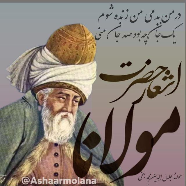 اشعار حضرت مولانا