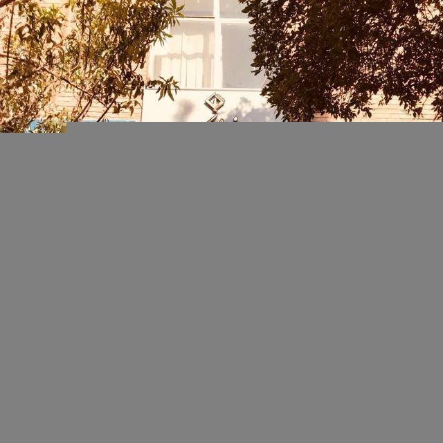 گروه حقوق دانشگاه اراک