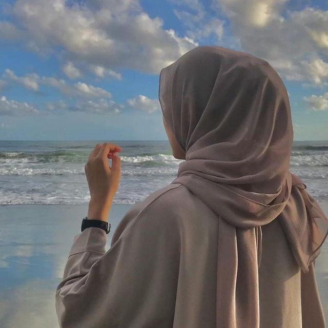 🍁 آذردخت 🍁