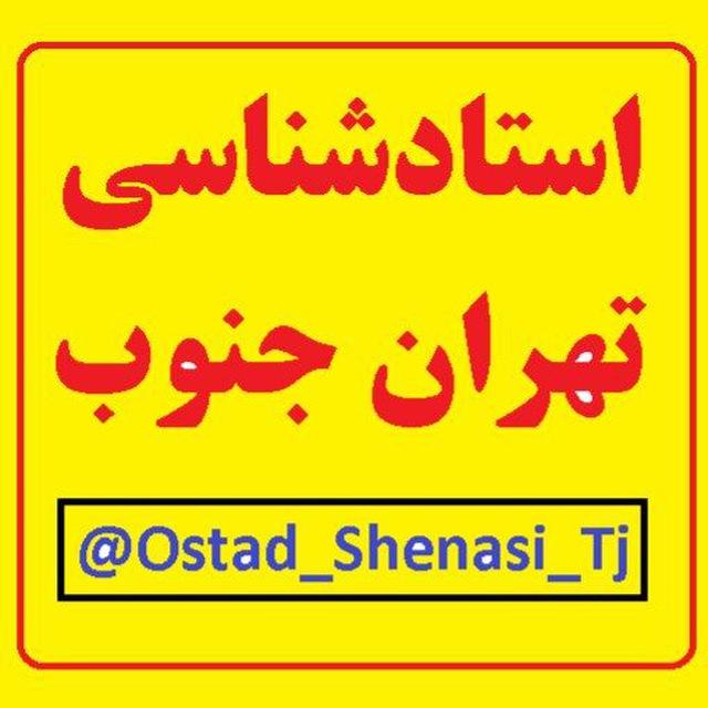 استاد شناسی تهران جنوب