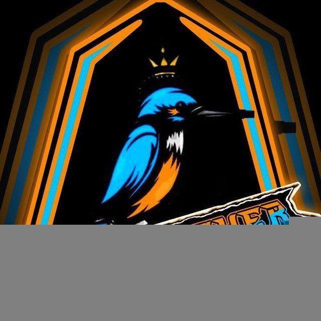 🔰🔱KING FISHER HACKS🔱🔰