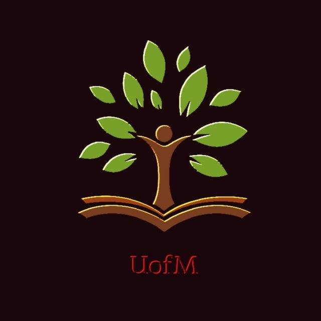 University of Mahdi