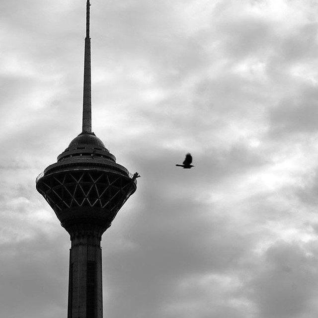 - Sky