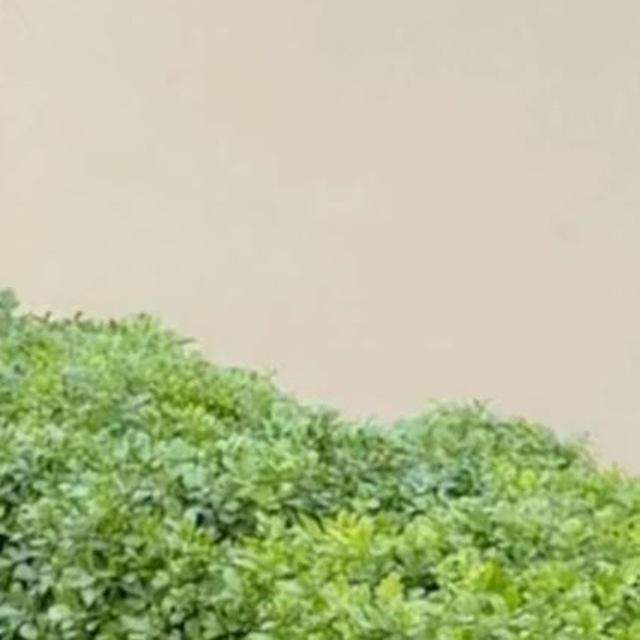 عينات الباشا رامي @Ramii33_R