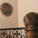 بَاحَةُ الأدَبِ