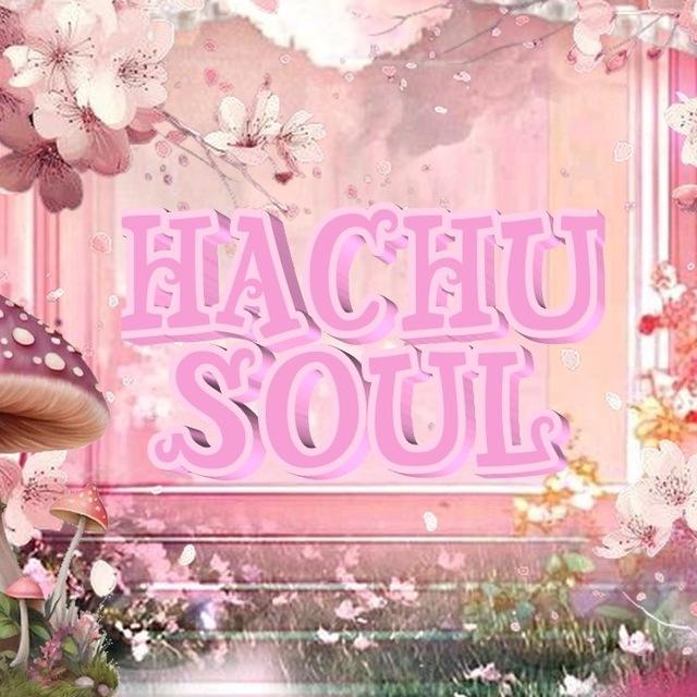 hachu, OPEN 💌