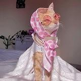 ݪـ ڪوثـࢪ♡ ستوريات ترتيب حسابات انستا ملصقات عبارات عيد ميلاد فلاتر شروحات خطوط ايفون صديقات سنتات ربح رصيد