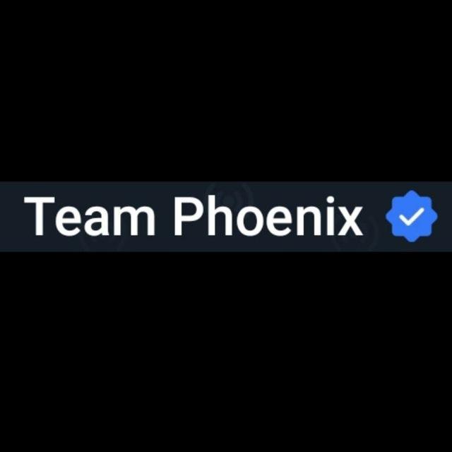 تعامل Team Phoenix