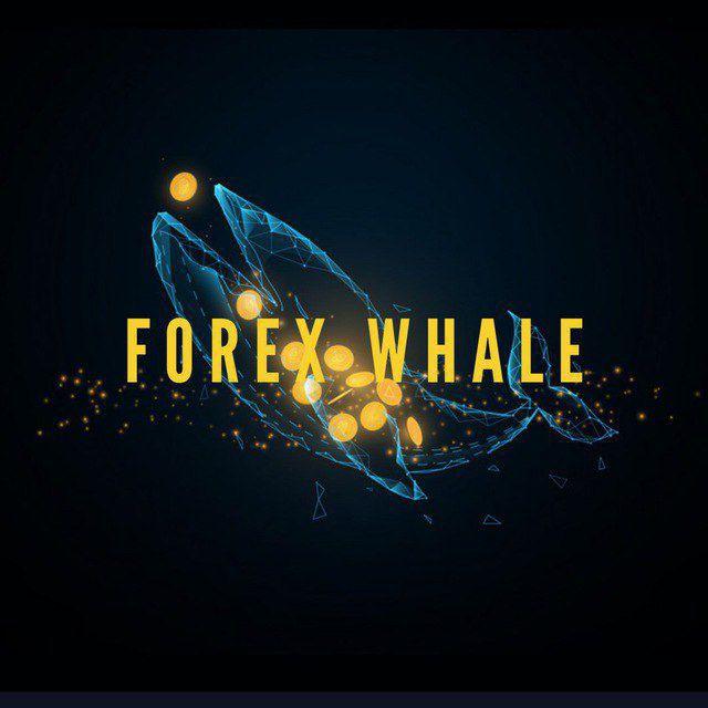 Forex whale🐋