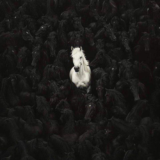 𝑳𝑶𝑽💞𝑬𝑴𝑬 🌚☽‘