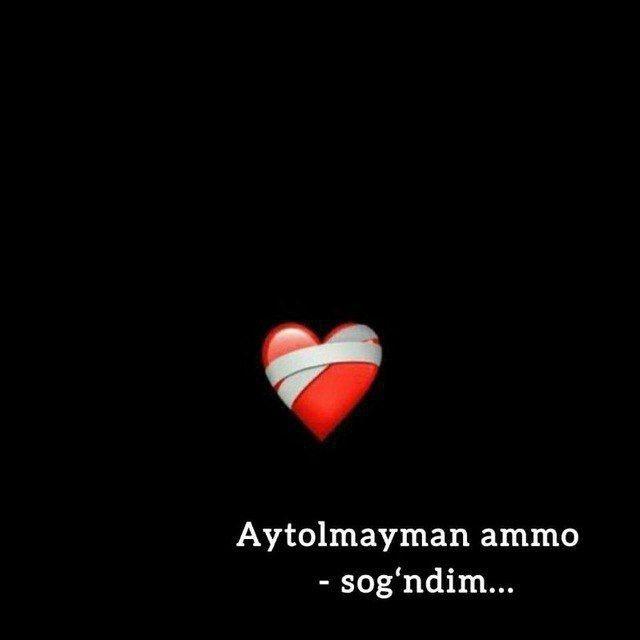 😔𝐺'𝐴𝑀𝐺𝐼𝑁 𝑉𝐼𝐷𝐸𝑂𝐿𝐴𝑅😔
