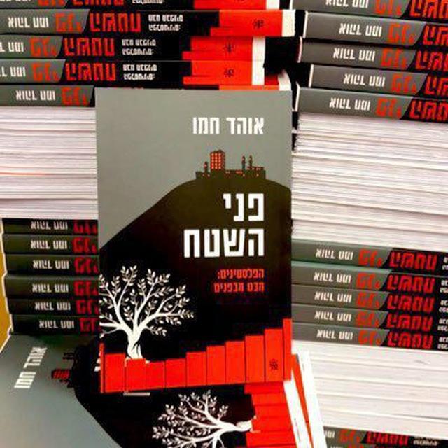 אוהד חמו
