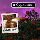 ⚜🌸NIKLARNI🐊UDARI🌿⚜