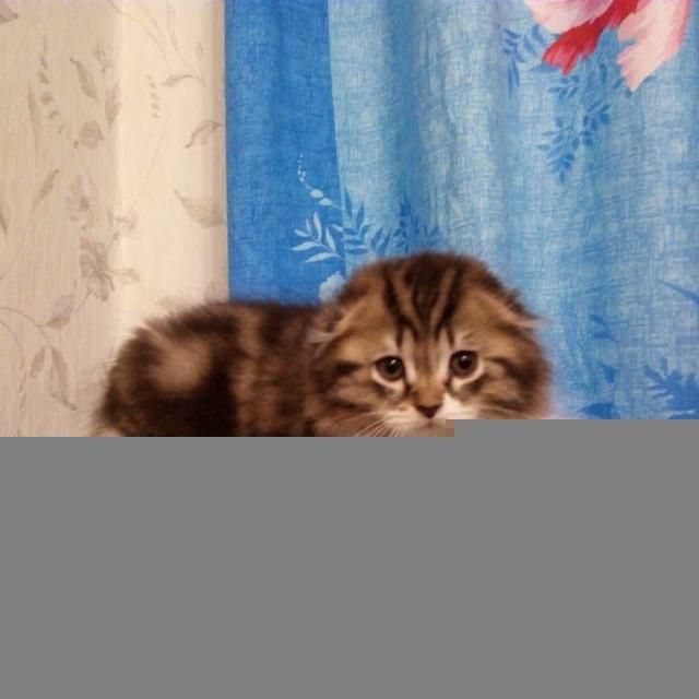 Выживаем как могЁм