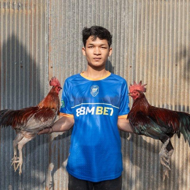បក្សីប្រយុទ្ធ ភ្នំជីសូរ