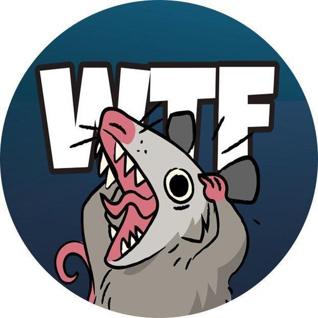 WTFO Portal