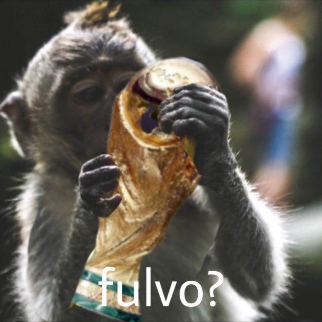 DR FULVO 🐒⚽️