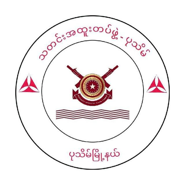 သတင်းအထူးတပ်ဖွဲ့ - PATHEIN