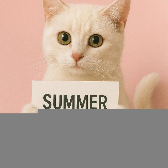 Summer Memories