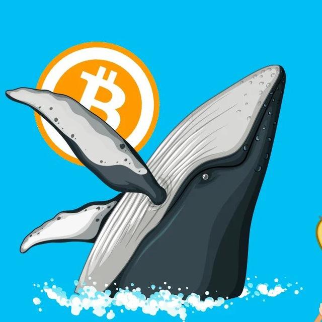 Китовый Движ 🐋