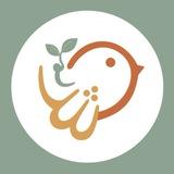 گم جش |جوراب | لباس زیر | ست راحتی